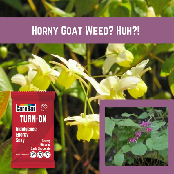Ingredient Spotlight: Epimedium AKA Horny Goat Weed